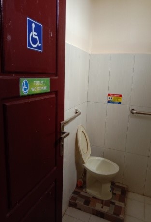 4. disabilitas
